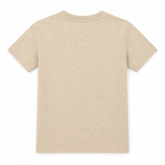 Boys T-Shirt (Pack of 3)